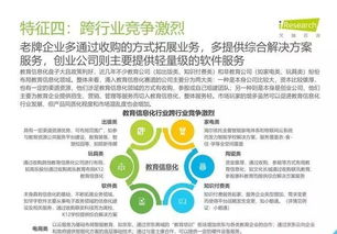 2019年中國(guó)教育信息化行業(yè)報(bào)告 信息技術(shù)咨詢(xún)服務(wù)