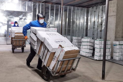 守護“舌尖上的安全” 遼源龍山區設立冷鏈食品監管倉，嚴控日用品銷售安全
